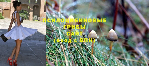 меф Горнозаводск