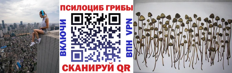 omg ССЫЛКА  что такое наркотик  Ува  Галлюциногенные грибы Psilocybe 